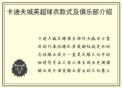 卡迪夫城英超球衣款式及俱乐部介绍