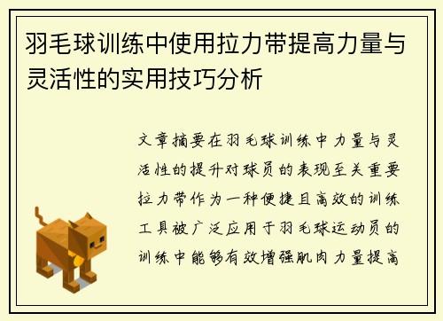 羽毛球训练中使用拉力带提高力量与灵活性的实用技巧分析